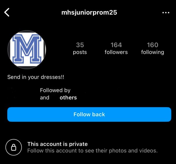 Prom Dress Instagrams Causing Anxiety for Students