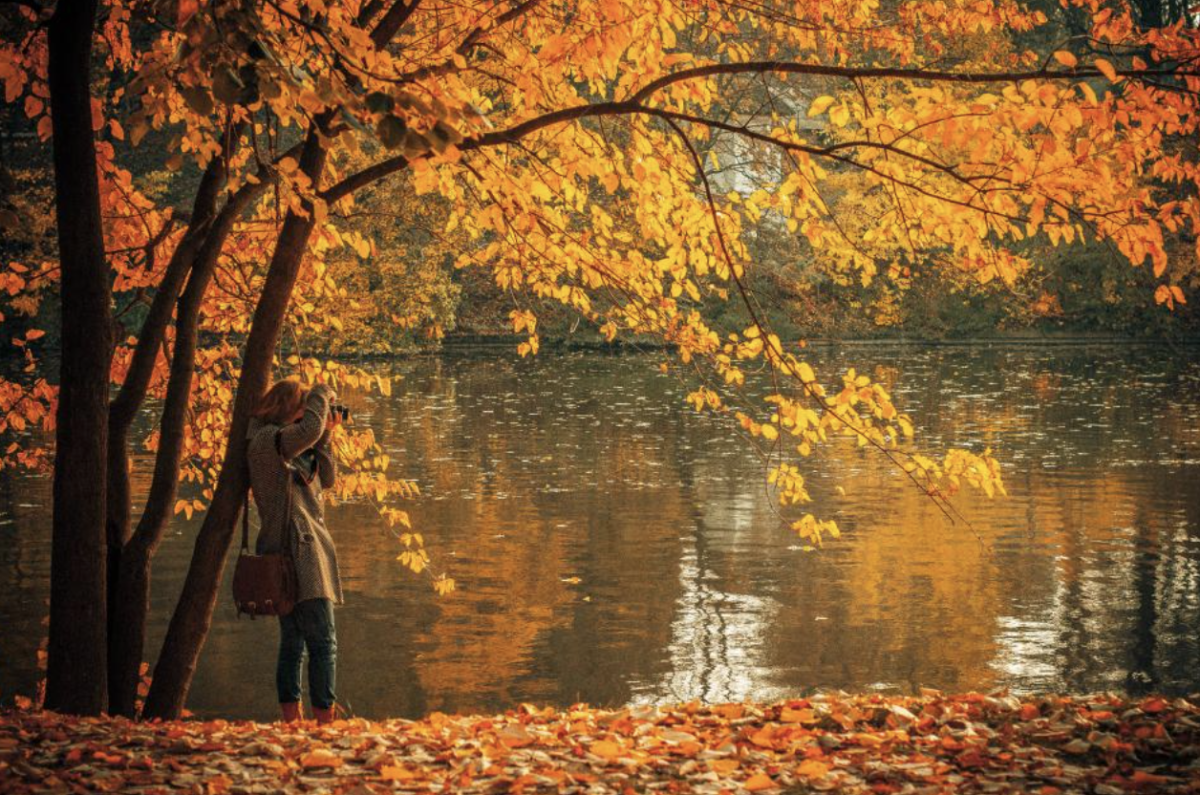 The Best Places To See Fall Foliage In New Jersey